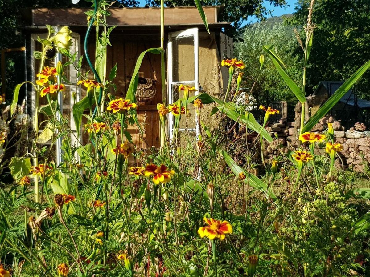 Le Jardin Des Gouttes Bed & Breakfast Rougegoutte Exterior foto