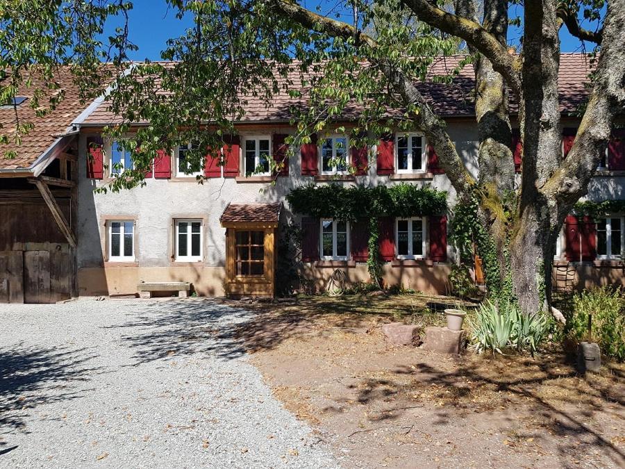 Le Jardin Des Gouttes Bed & Breakfast Rougegoutte Exterior foto